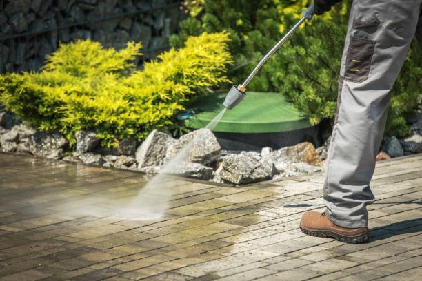 Best Roof Washing  in Rumson, NJ