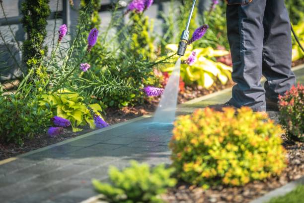 Best Dumpster Area Cleaning  in Rumson, NJ