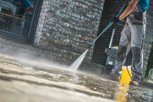 Best Soft Washing  in Rumson, NJ